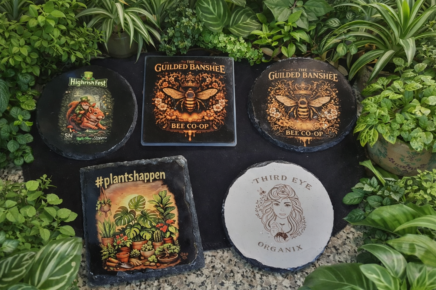 Thirdeye Organix & Guilded Banshee coasters