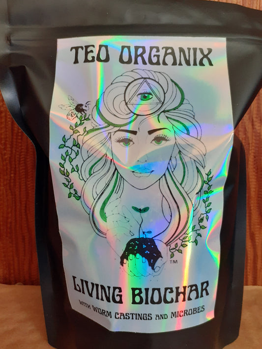 Living Biochar